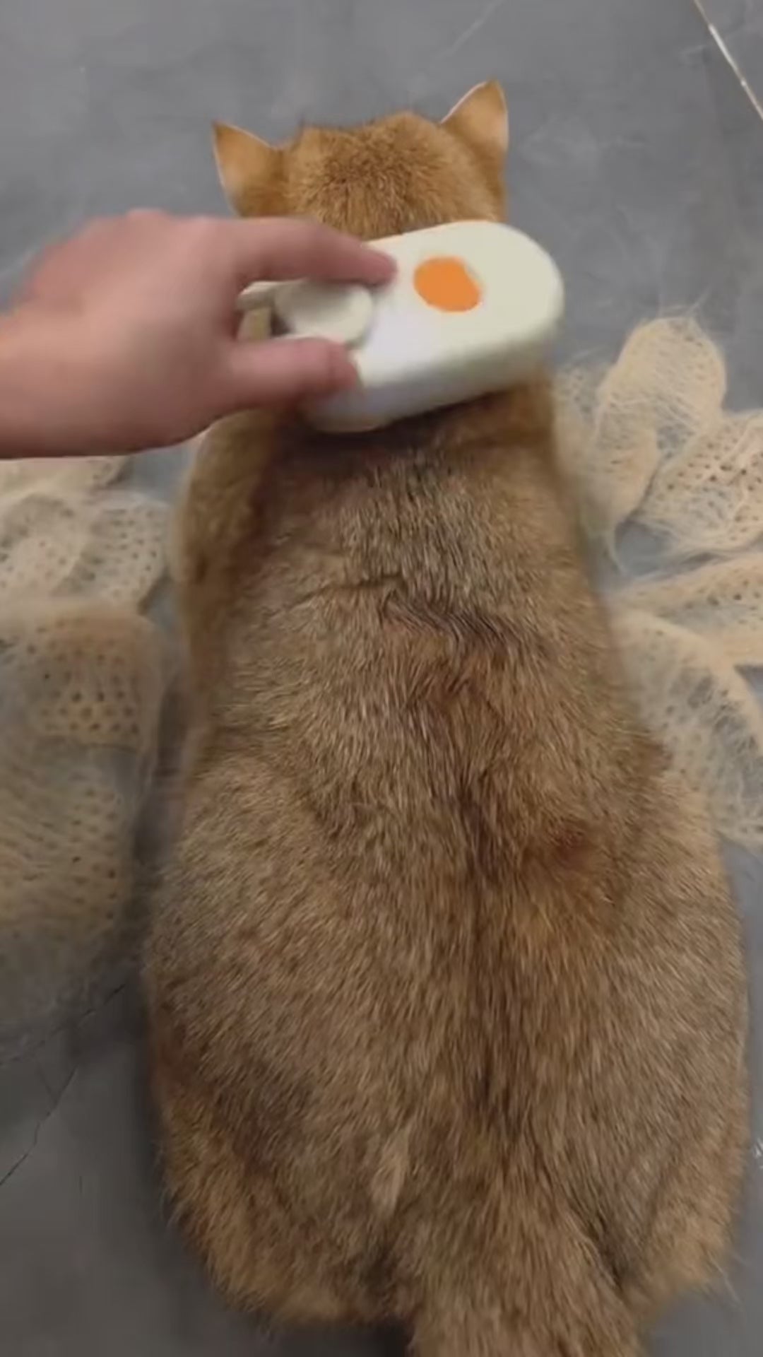 LuxePet FellPro™ – 3-in-1 Dampfbürste